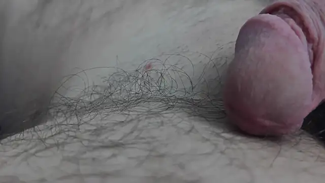 Fist-my-ass online show from November 2025 08:03:02 AM