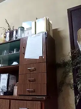 White rabbit  online show from December 2024 08:37:02 AM