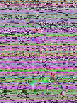 Snapshot of sahorix1 chatting on February 2026 03:56:02 PM sahorix1 online show from February 2026 03:56:02 PM