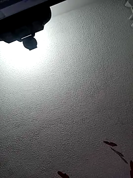 Deina bunny online show from February 2025 06:57:02 PM