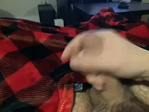 Snapshot of northcock87 chatting on December 2024 02:09:01 AM northcock87 online show from December 2024 02:09:01 AM