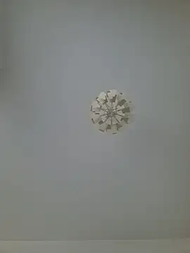 cuci45 online show from February 2026 08:38:01 AM