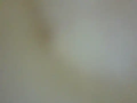 Snapshot of CaptainFox chatting on May 2026 07:30:02 PM CaptainFox online show from May 2026 07:30:02 PM