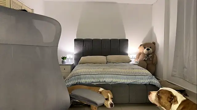 nurbanu hatem online show from February 2026 08:43:01 AM