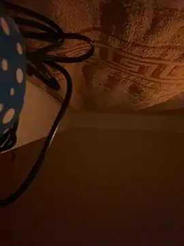 SexSanich online show from November 2025 04:02:02 AM