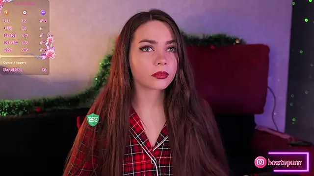 How2Meow online show from December 2024 05:53:02 PM