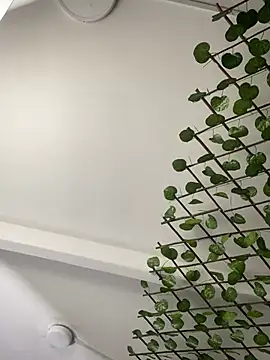 Snapshot of adriscute chatting on April 2026 06:17:01 PM adriscute online show from April 2026 06:17:01 PM