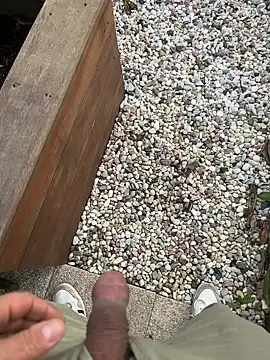 mattexhibe online show from January 2025 09:49:02 AM