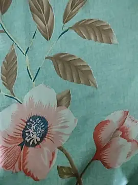 Snapshot of rodhathor chatting on April 2026 07:34:02 PM rodhathor online show from April 2026 07:34:02 PM