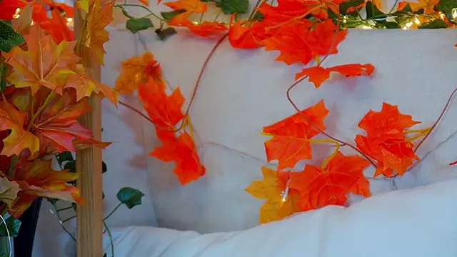 ElisabethDavis online show from October 2025 03:11:01 PM