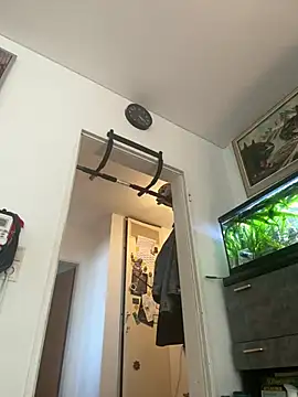 Toyjungee online show from March 2025 01:48:01 PM