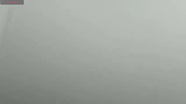 natasha logan  online show from February 2025 04:25:02 AM