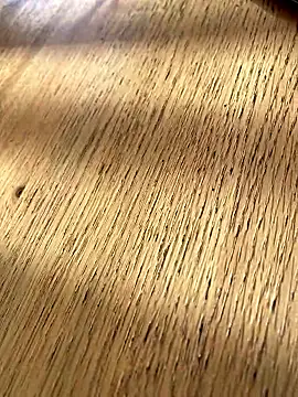 Fellix online show from January 2026 11:23:02 AM