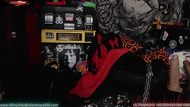 Silentmary online show from February 2025 11:52:02 PM