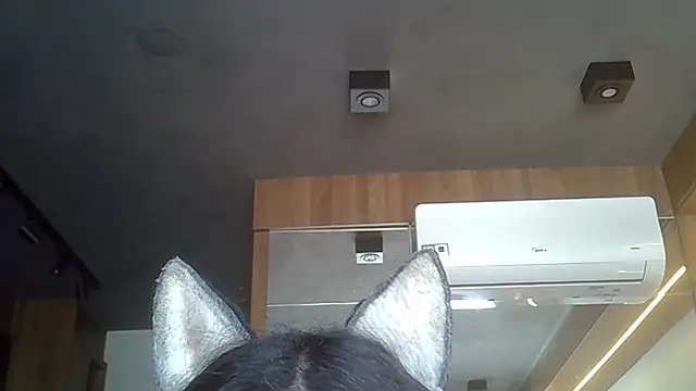 Skinny-Kitten online show from November 2025 12:16:01 PM