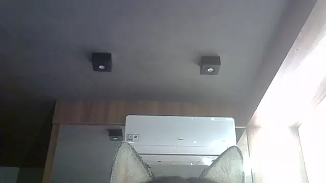 Skinny-Kitten online show from January 2026 05:43:02 AM