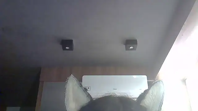 Skinny-Kitten online show from March 2026 09:26:01 AM