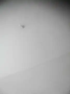 Snapshot of bestofyalcinturkey chatting on December 2024 12:49:01 PM bestofyalcinturkey online show from December 2024 12:49:01 PM