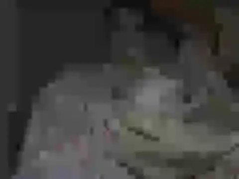 maxstelll online show from February 2026 04:21:02 AM