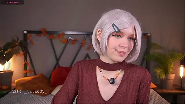 TataCoy online show from November 2025 06:08:01 PM