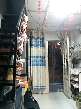 baobao26 online show from April 2026 10:57:02 AM