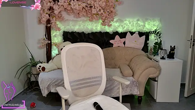 Snapshot of Meliazz chatting on January 2025 04:24:01 PM Meliazz online show from January 2025 04:24:01 PM