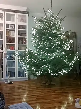 SexyDreamercouple89 online show from December 2024 06:48:01 PM