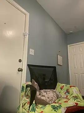 Snapshot of wishwashhy22 chatting on January 2025 05:22:02 PM wishwashhy22 online show from January 2025 05:22:02 PM