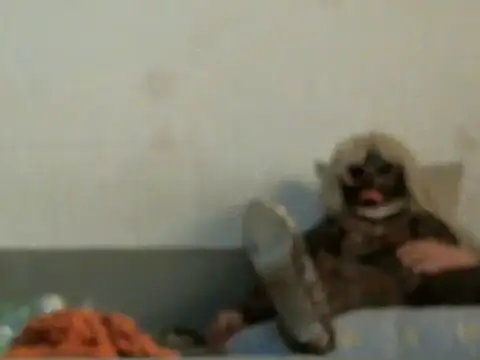 qwer1234 online show from March 2026 05:47:02 AM