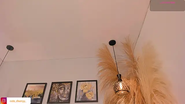 cute  cherry  online show from July 2026 02:05:17 AM