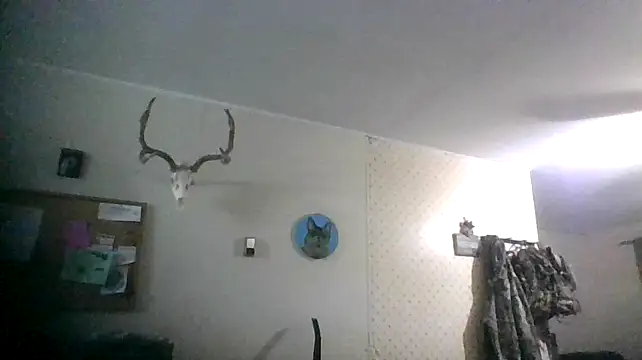 lisamatty4601 online show from January 2025 12:59:01 AM