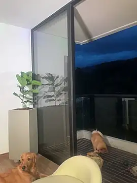 Helenbronwx online show from December 2024 11:09:01 PM