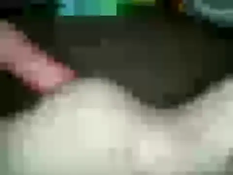 Snapshot of xxxlecram chatting on January 2025 02:56:02 PM xxxlecram online show from January 2025 02:56:02 PM