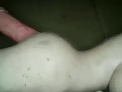 Snapshot of xxxlecram chatting on March 2025 04:17:02 AM xxxlecram online show from March 2025 04:17:02 AM