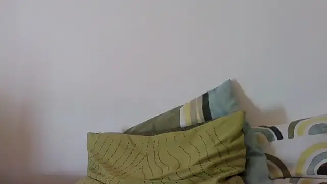 Snapshot of joaodias_97 chatting on December 2024 01:55:02 PM joaodias 97 online show from December 2024 01:55:02 PM