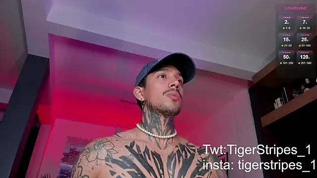 Snapshot of TigerStripes1_ chatting on March 2025 11:46:01 PM TigerStripes1 online show from March 2025 11:46:01 PM