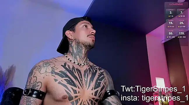 Snapshot of TigerStripes1_ chatting on March 2025 12:56:02 AM TigerStripes1 online show from March 2025 12:56:02 AM