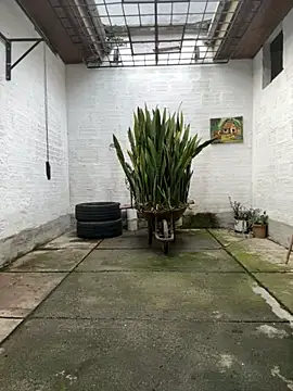 oliver price1 online show from November 2025 09:14:01 PM