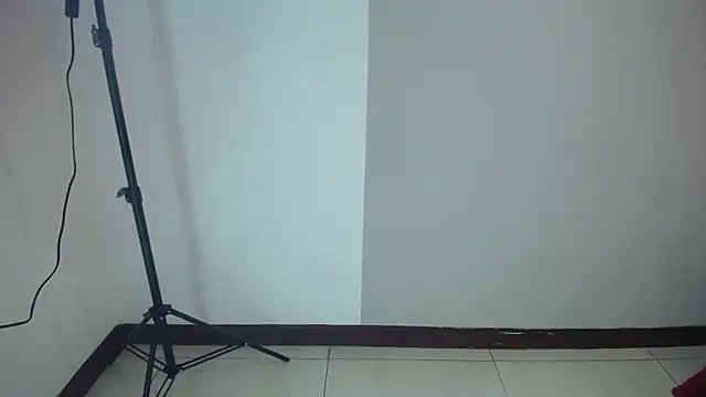 stefanvix202 online show from November 2025 04:22:02 AM